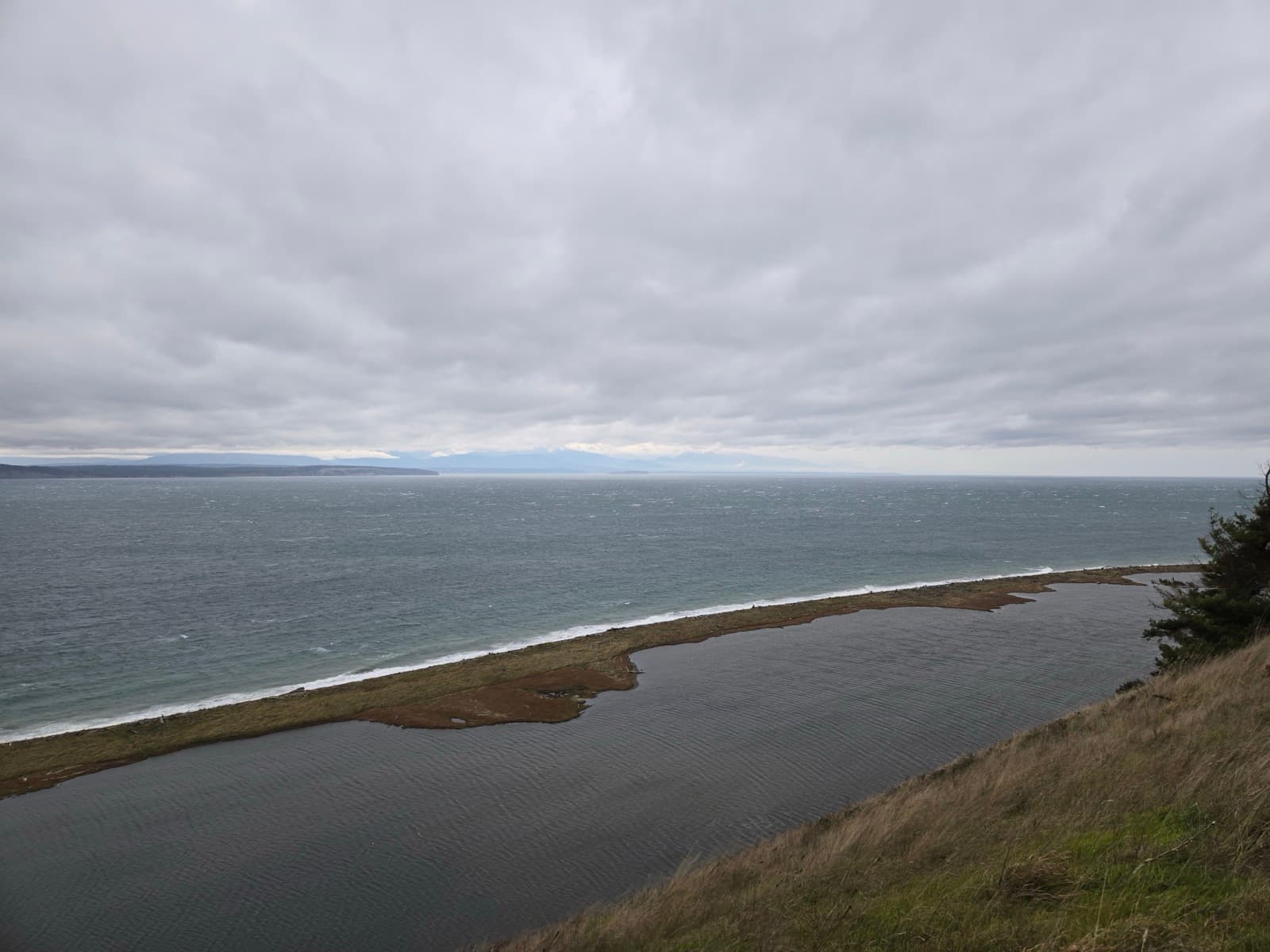 Whidbey Island landscape