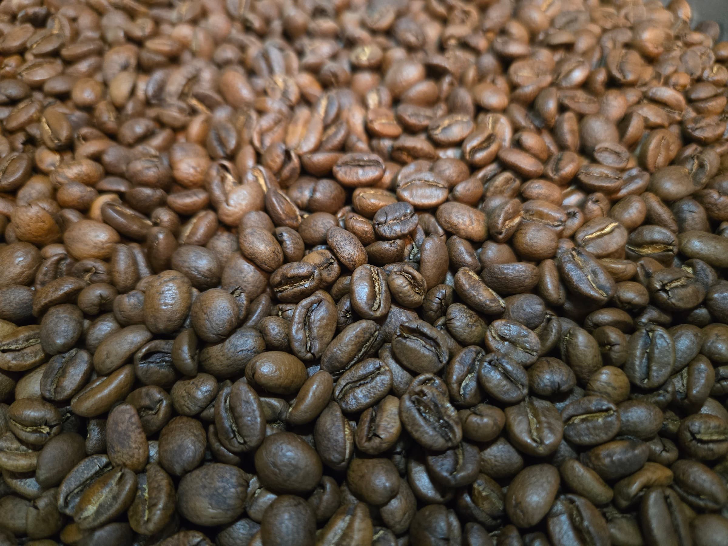 Freshly roasted coffee beans